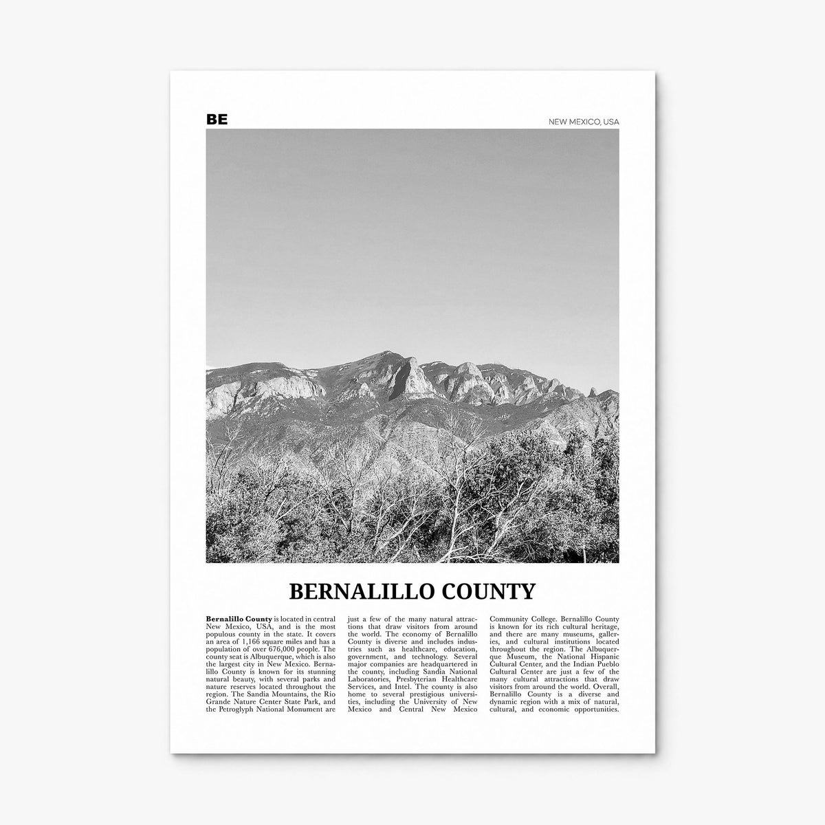 Bernalillo County Newspaper Poster, print only (unframed)