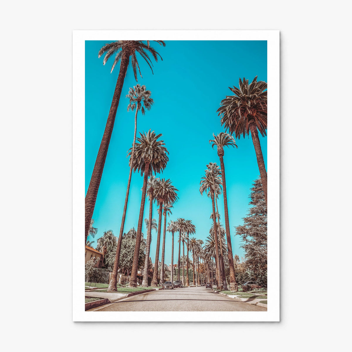 Beverly Hills Photo Poster, print only (unframed), white border