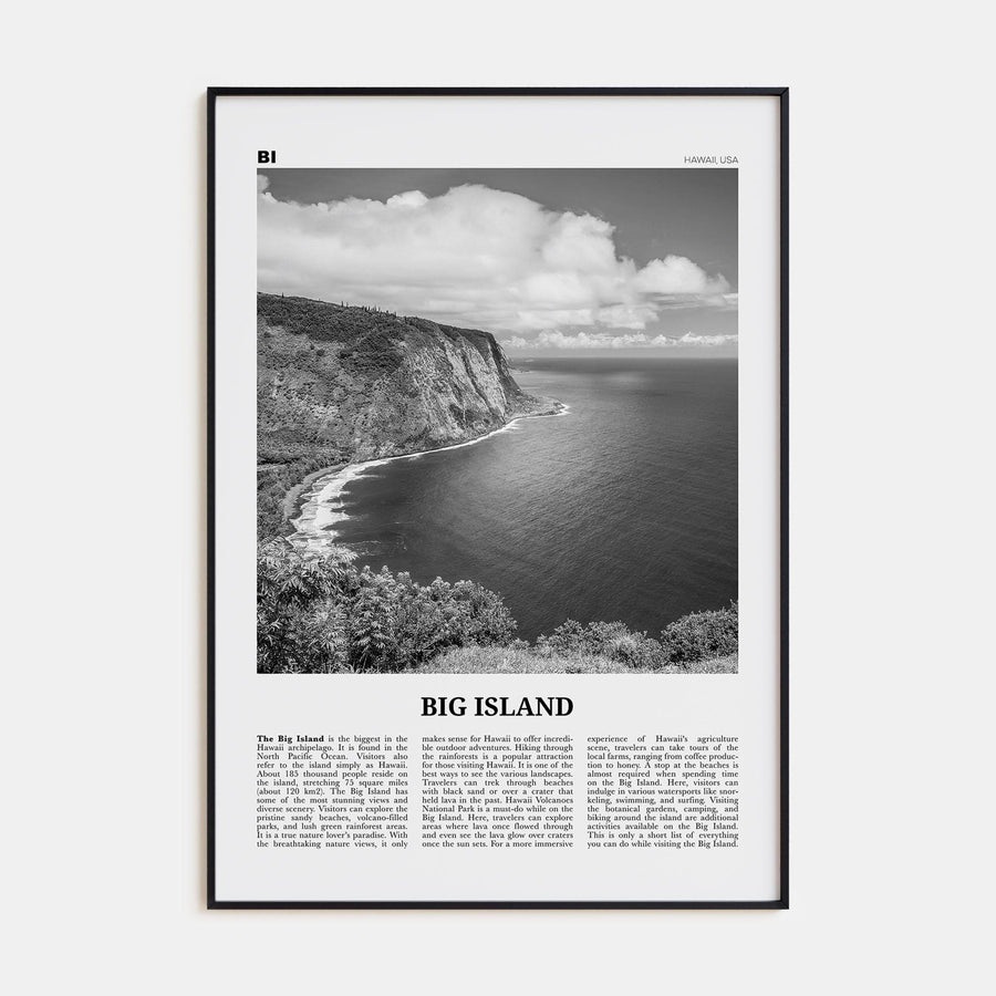 Big Island Poster None / 8x12 in Nbourhood Travel B&W Poster