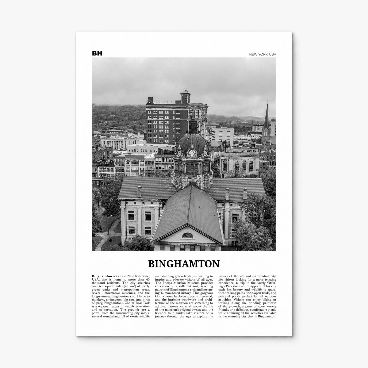 Binghamton Newspaper Poster, print only (unframed)