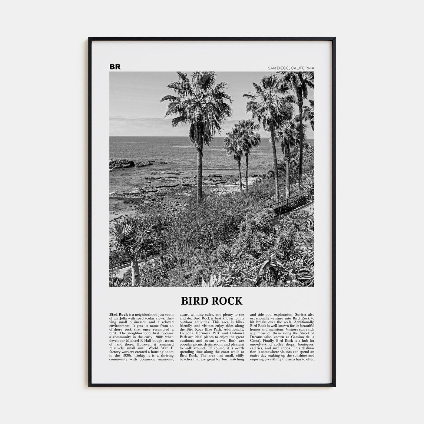 Bird Rock No 2 Poster None / 8x12 in Nbourhood Travel B&W Poster