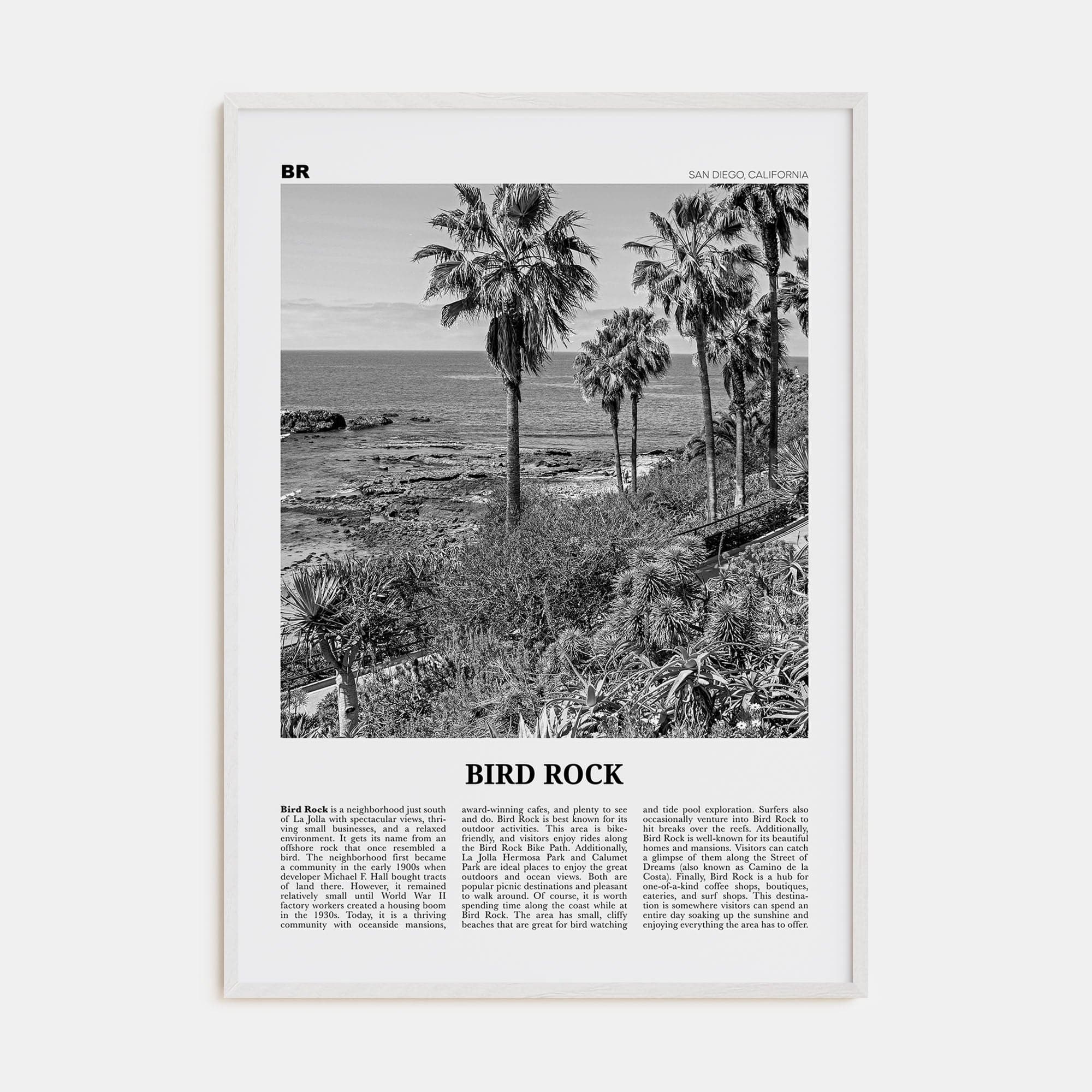 Bird Rock No 2 Poster White Wood / 8x12 in Nbourhood Travel B&W Poster