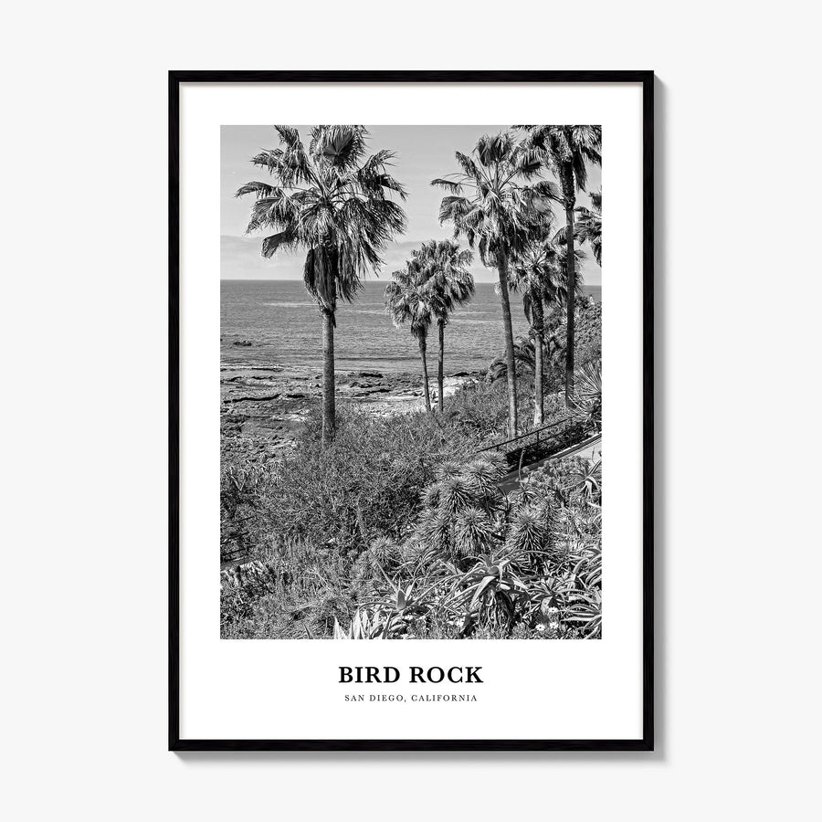Bird Rock Classic No 1 Poster, framed poster mockup