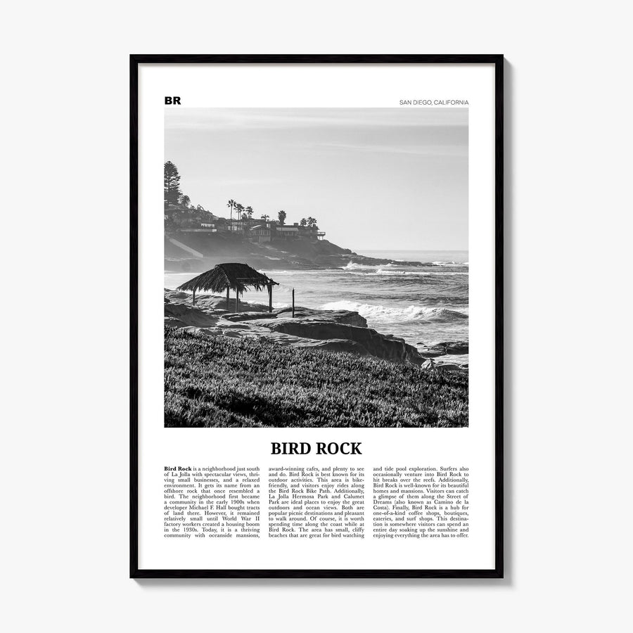 Bird Rock Newspaper No 1 Poster, framed poster mockup