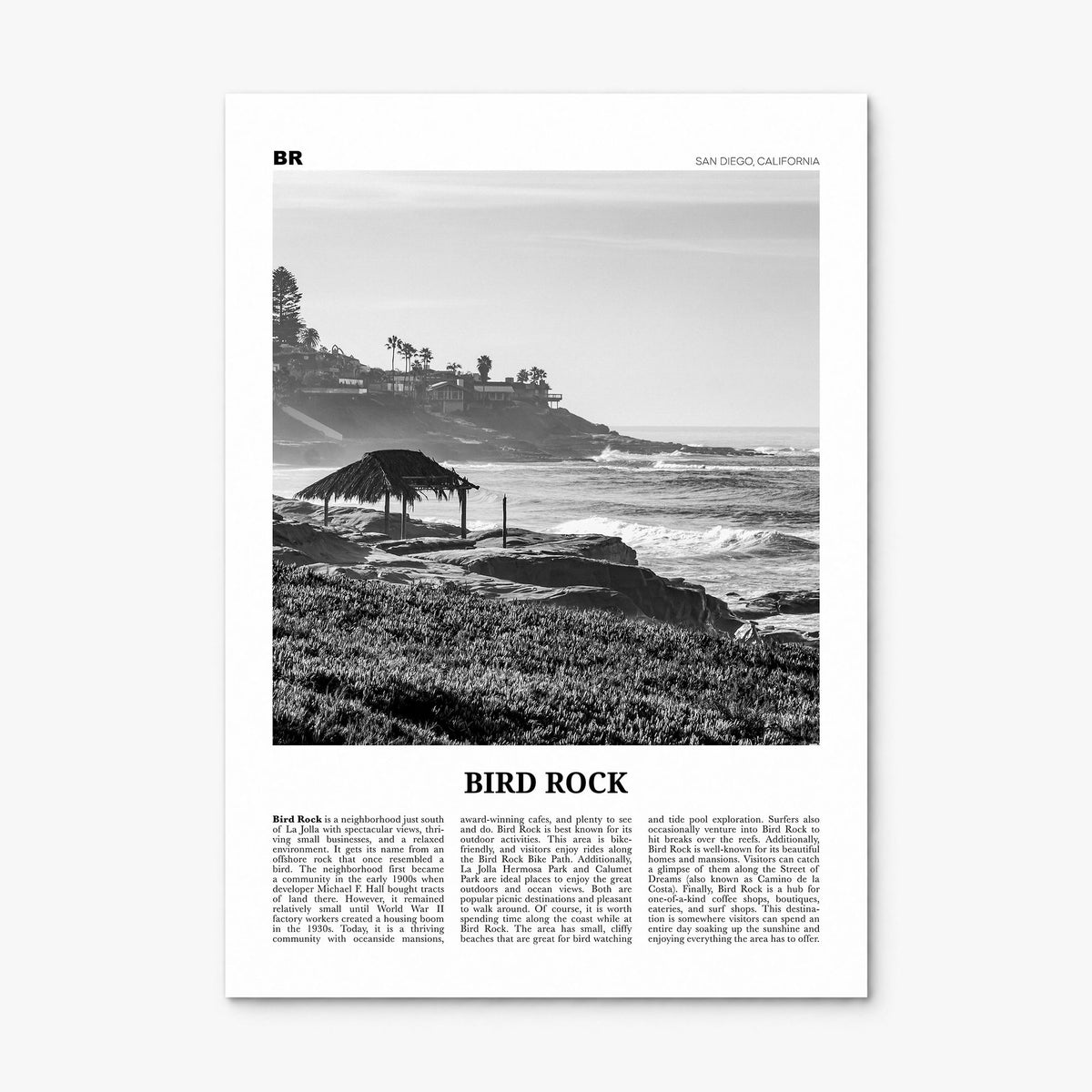 Bird Rock Newspaper No 1 Poster, print only (unframed)