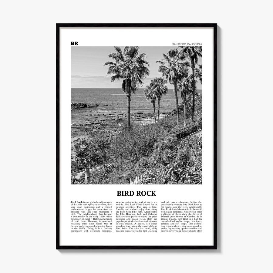 Bird Rock Newspaper No 2 Poster, framed poster mockup