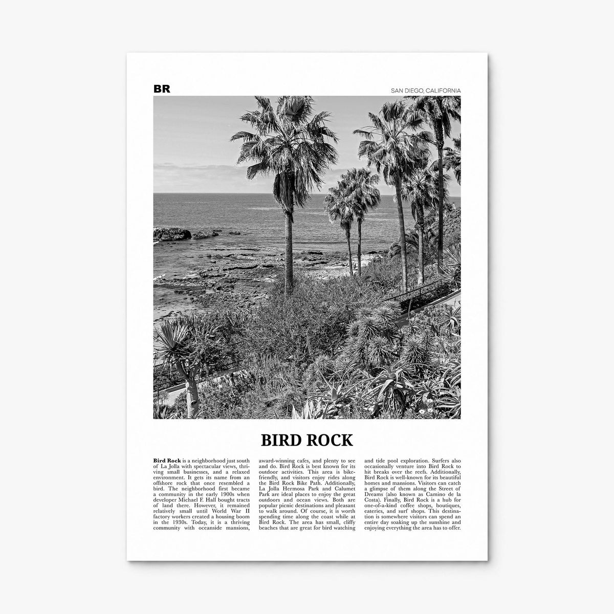 Bird Rock Newspaper No 2 Poster, print only (unframed)