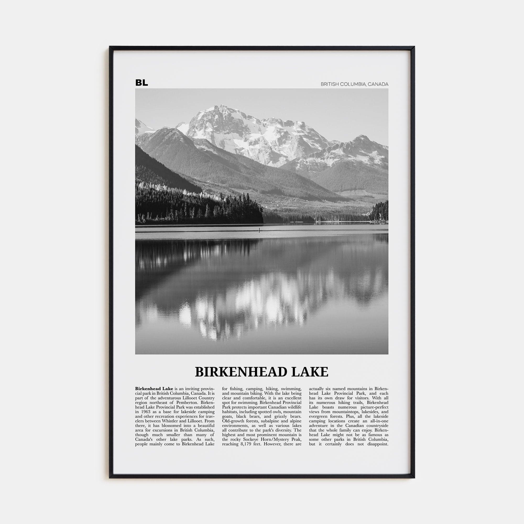 Birkenhead Lake Poster None / 8x12 in Nbourhood Travel B&W Poster