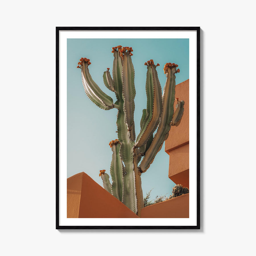 Blooming Cactus Sandy Walls colorful photo poster – vertical wall art, unframed print shown in interior mockup