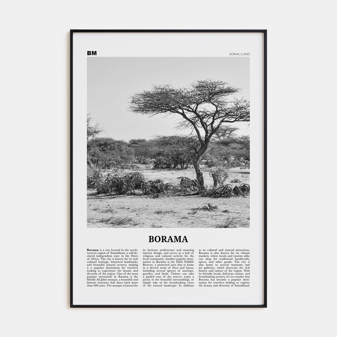 Borama Poster None / 8x12 in Nbourhood Travel B&W Poster