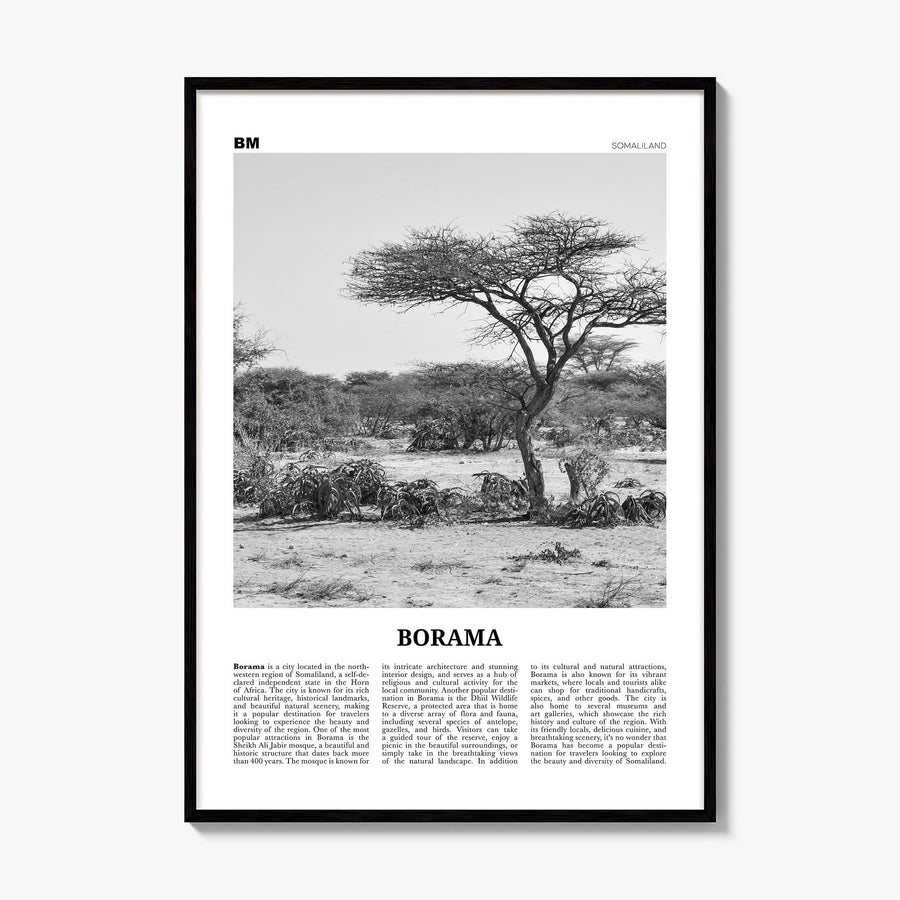 Borama Newspaper Poster, framed poster mockup