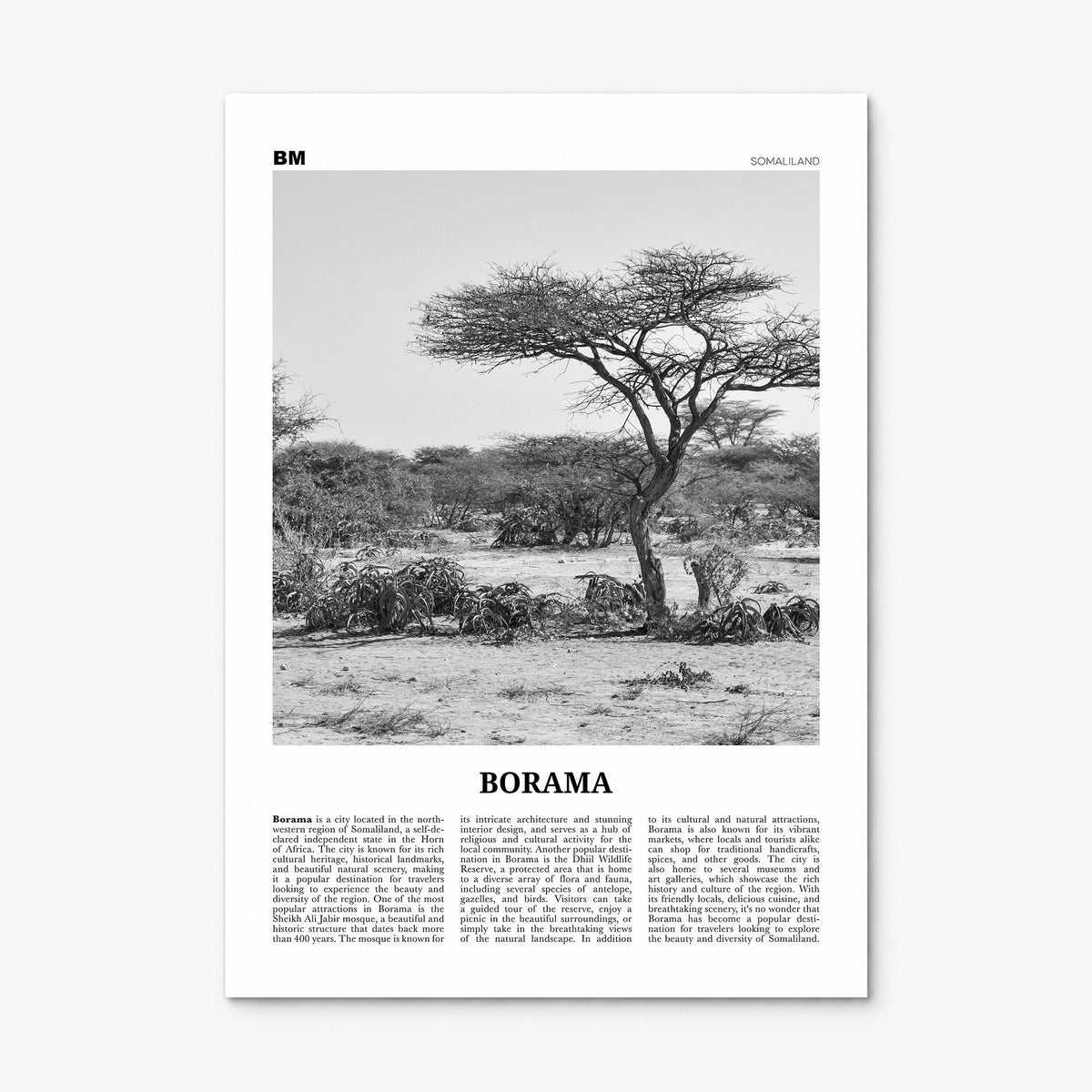 Borama Newspaper Poster, print only (unframed)