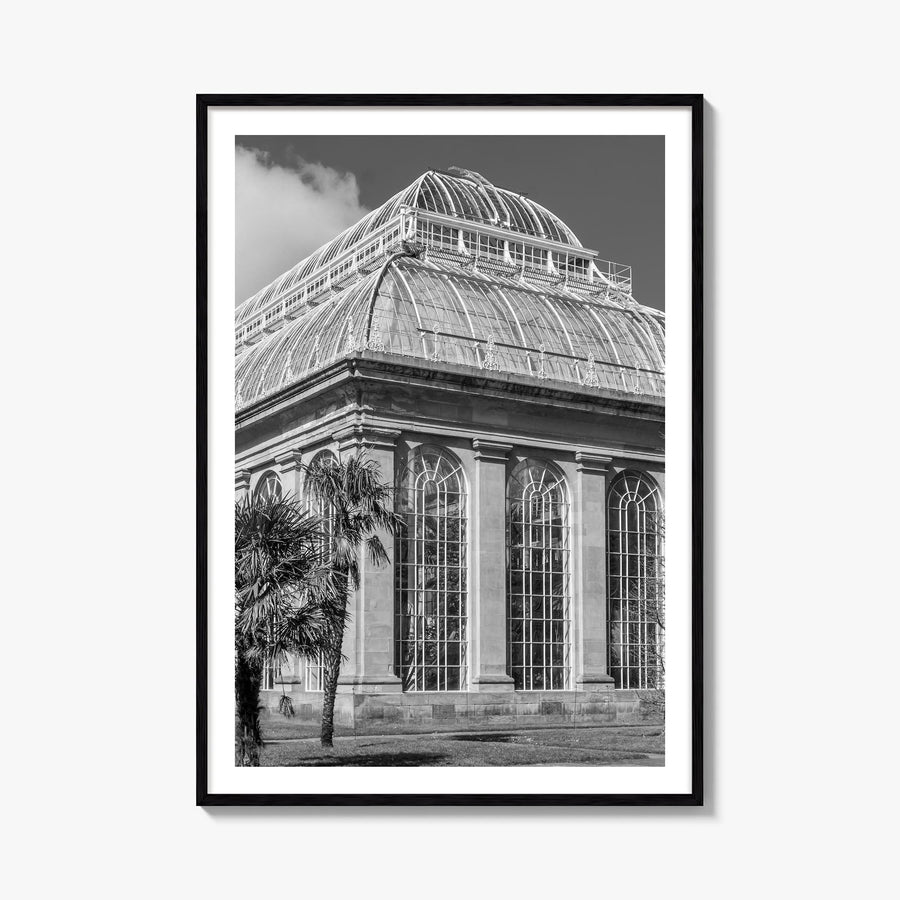 Botanical Garden no. 3 black & white photo poster – vertical wall art, unframed print shown in interior mockup