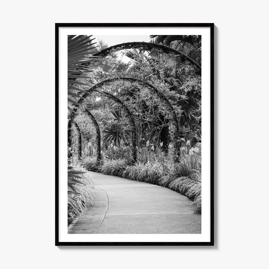 Botanical Garden Photo No 2 Poster, framed poster mockup, white border