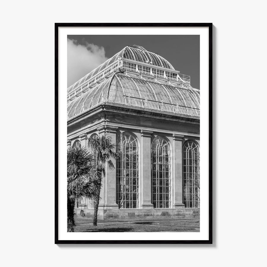 Botanical Garden Photo No 3 Poster, framed poster mockup, white border