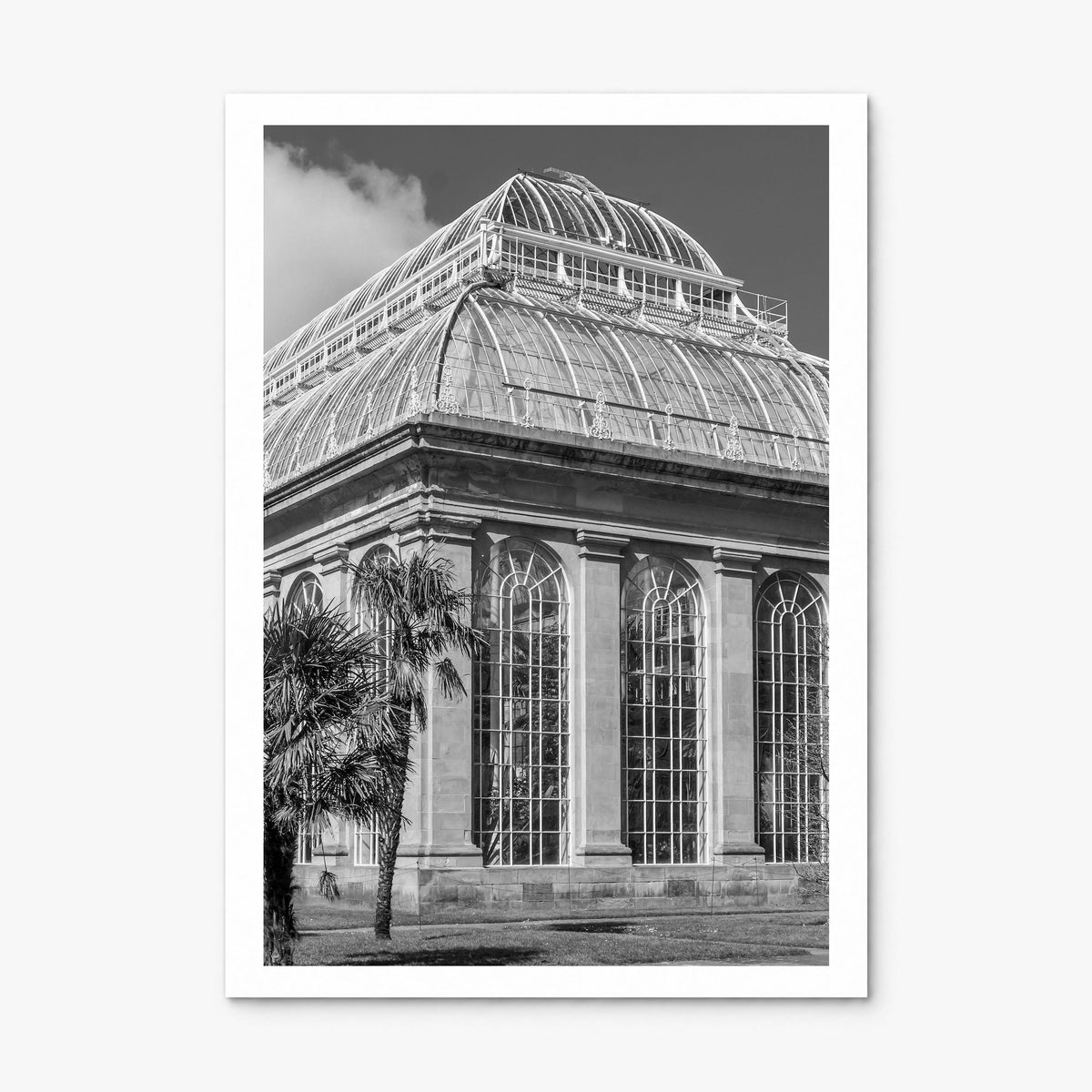 Botanical Garden Photo No 3 Poster, print only (unframed), white border