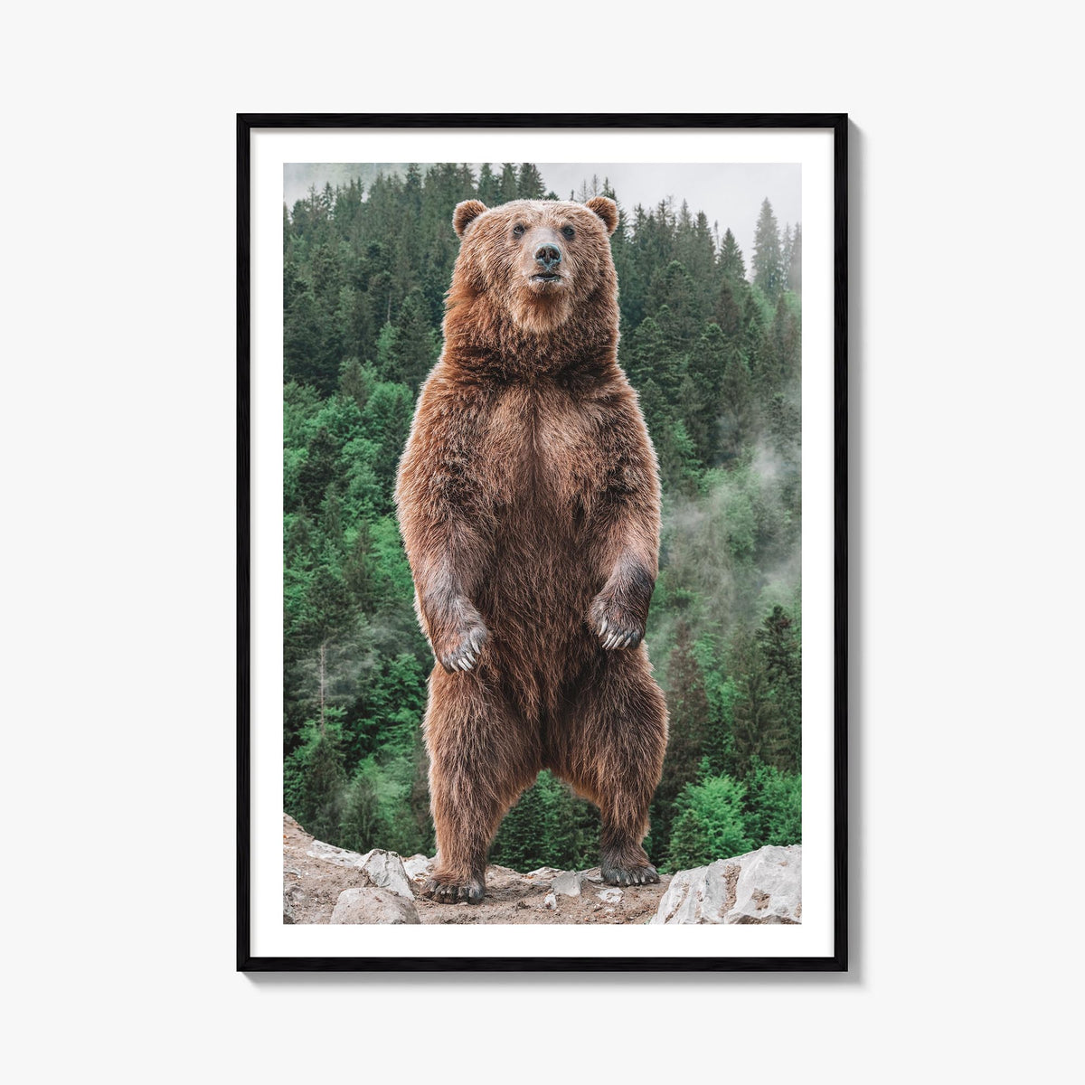 Brown Bear no. 1 colorful photo poster – vertical wall art, unframed print shown in interior mockup