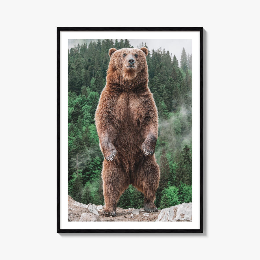 Brown Bear no. 1 colorful photo poster – vertical wall art, unframed print shown in interior mockup