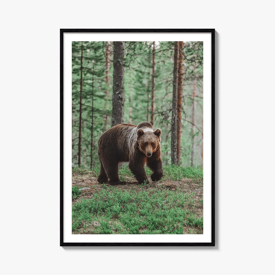 Brown Bear no. 2 colorful photo poster – vertical wall art, unframed print shown in interior mockup