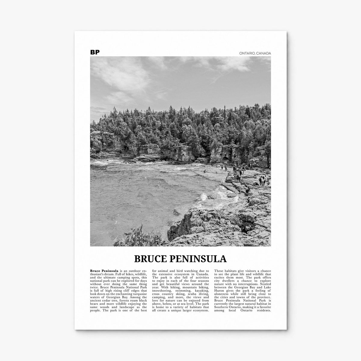 Bruce Peninsula Newspaper Poster, print only (unframed)