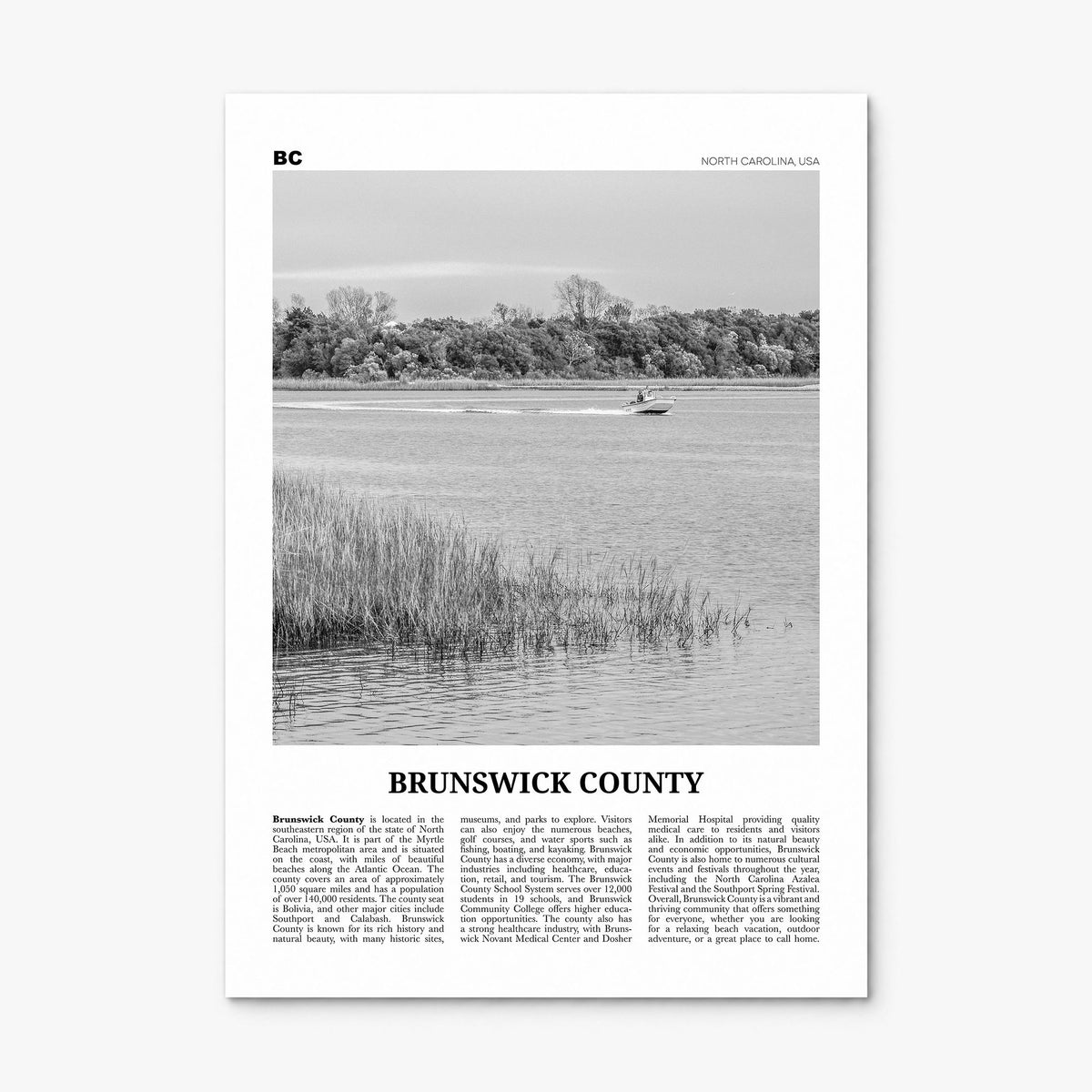 Brunswick County Newspaper Poster, print only (unframed)