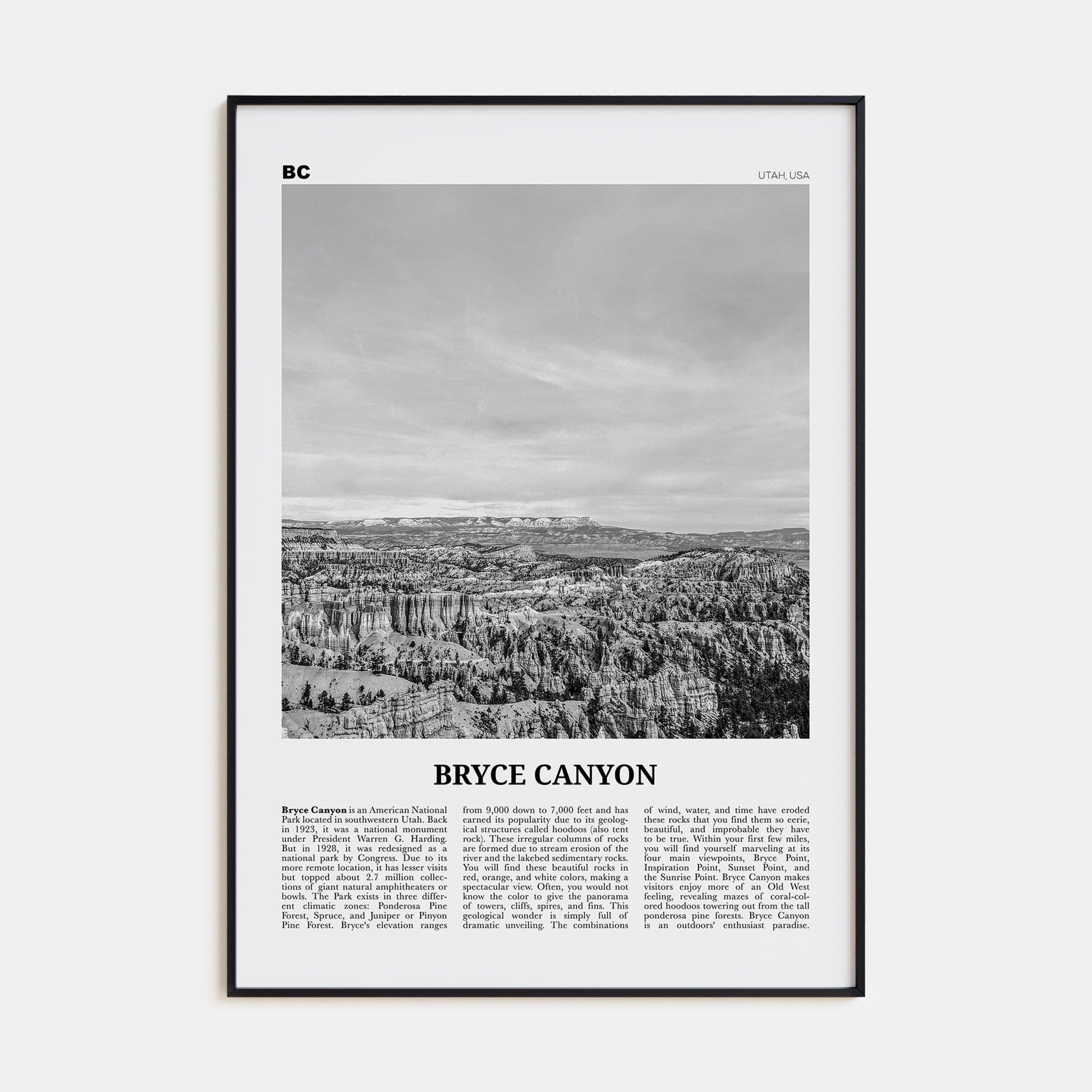 Bryce Canyon National Park Poster None / 8x12 in Nbourhood Travel B&W Poster