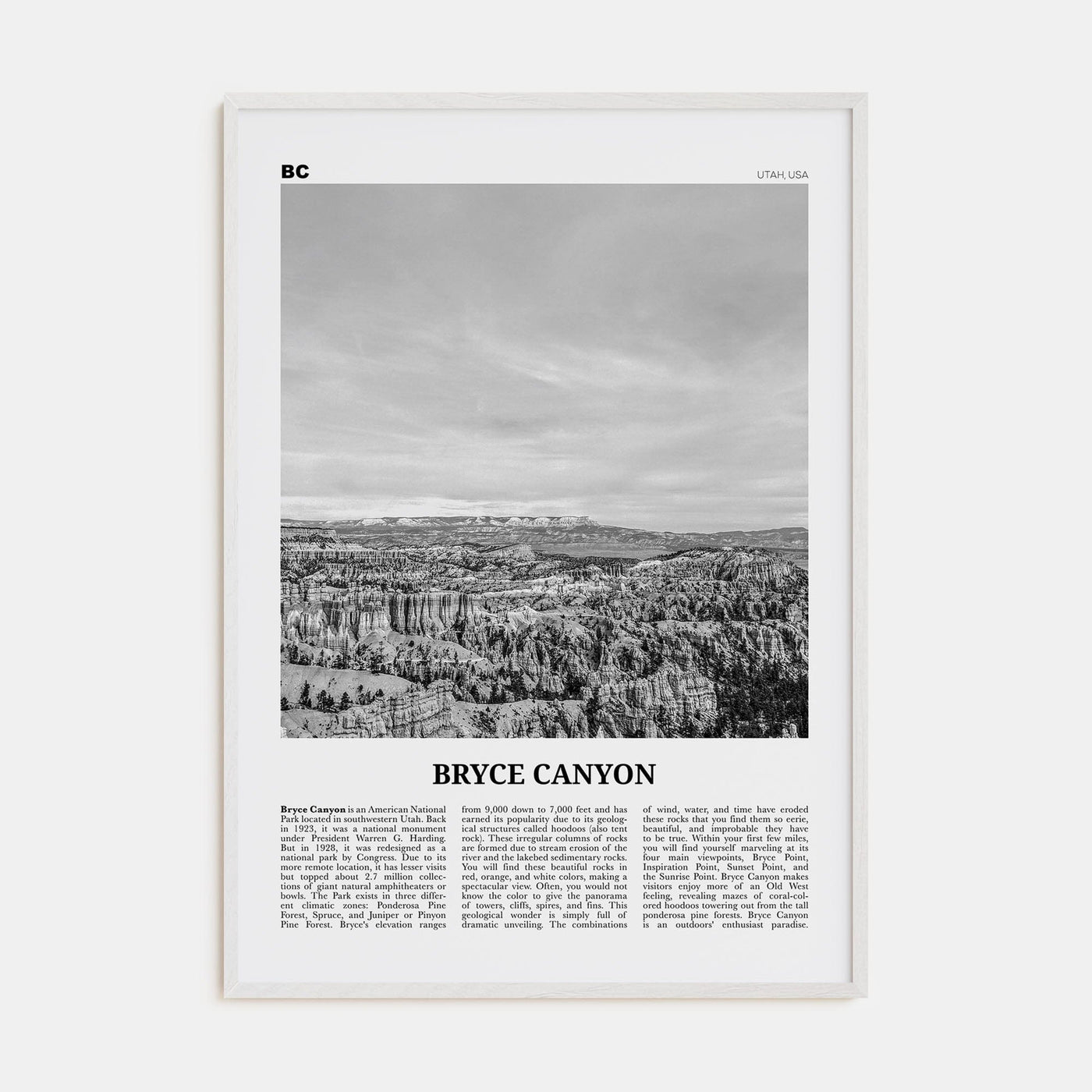 Bryce Canyon National Park Poster White Wood / 8x12 in Nbourhood Travel B&W Poster