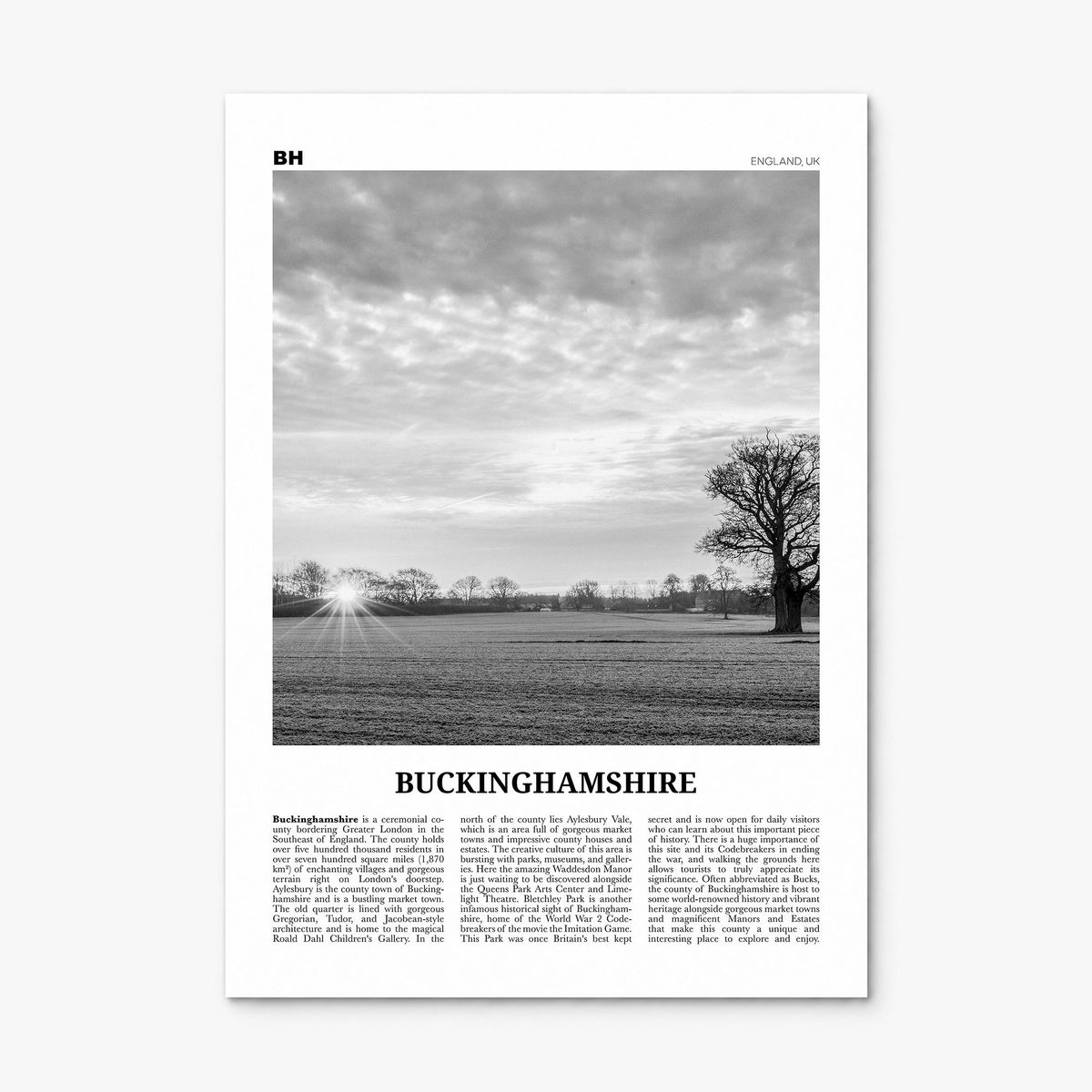 Buckinghamshire Newspaper Poster, print only (unframed)