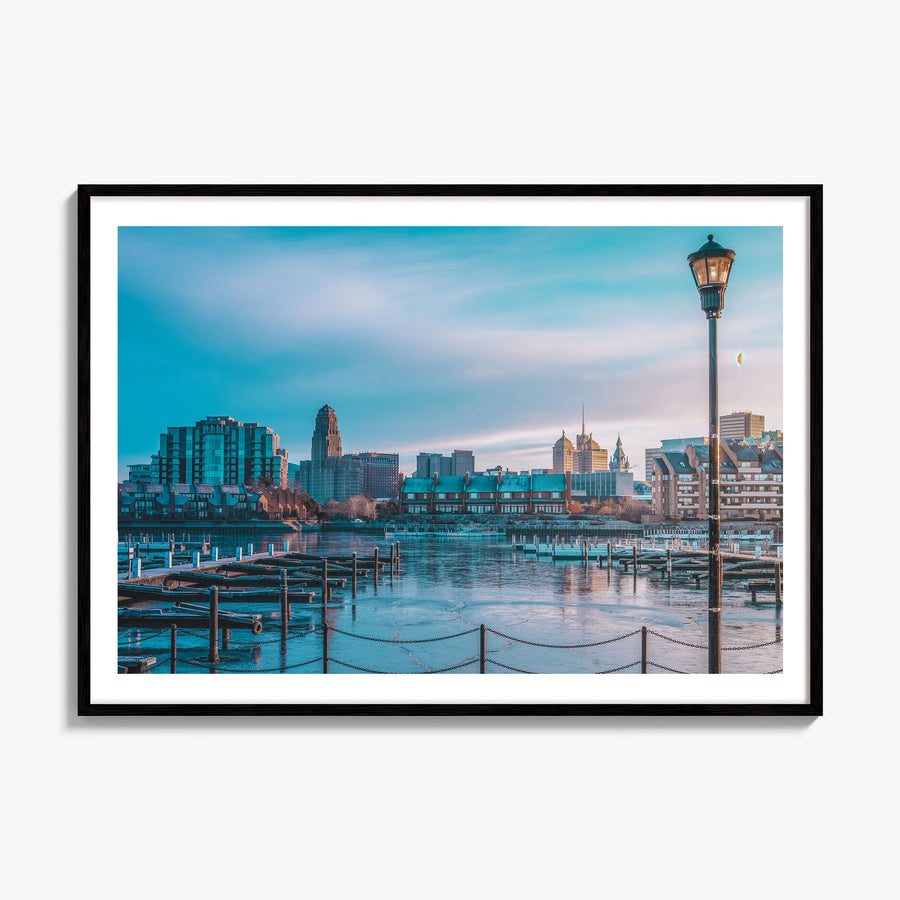 Buffalo Photo Poster, framed poster mockup, white border