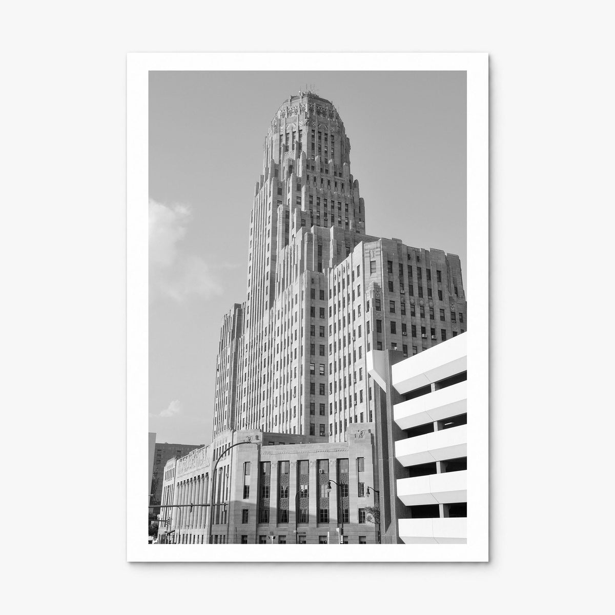 Buffalo Photo No 1 Poster, print only (unframed), white border