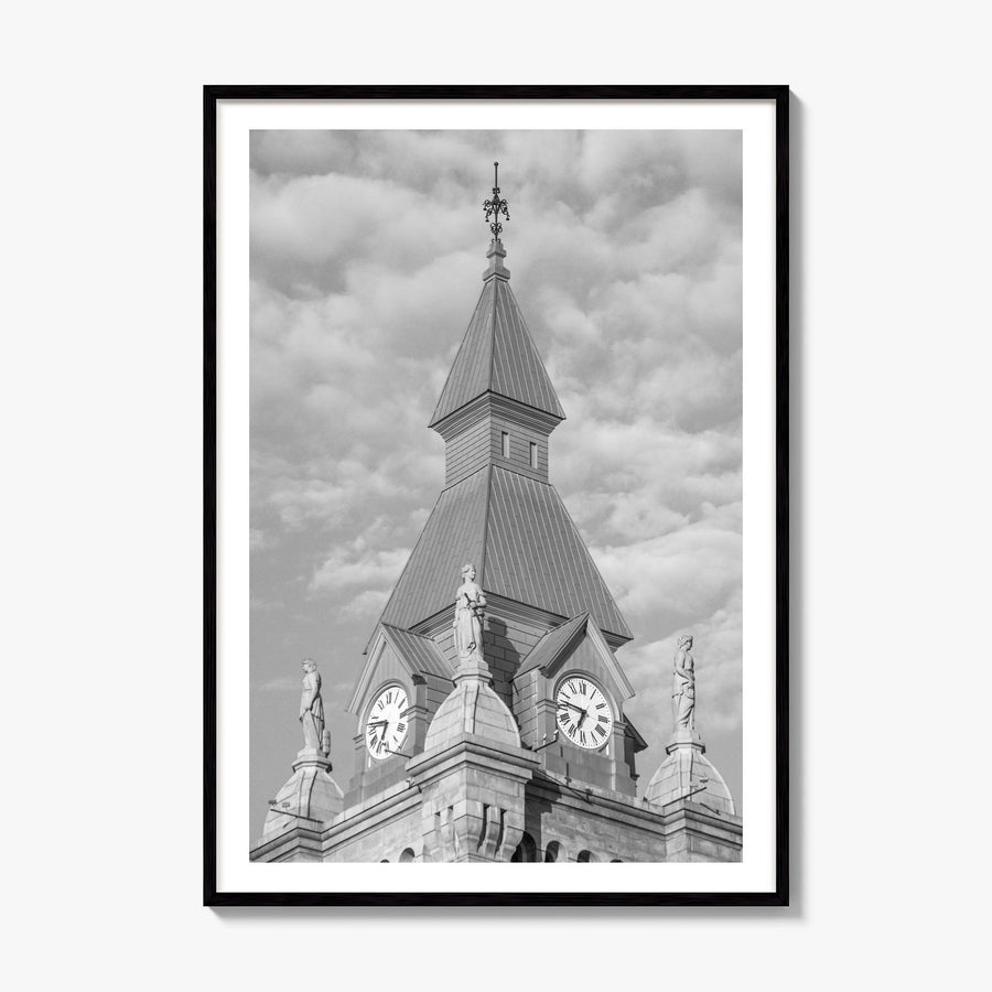 Buffalo Photo No 3 Poster, framed poster mockup, white border