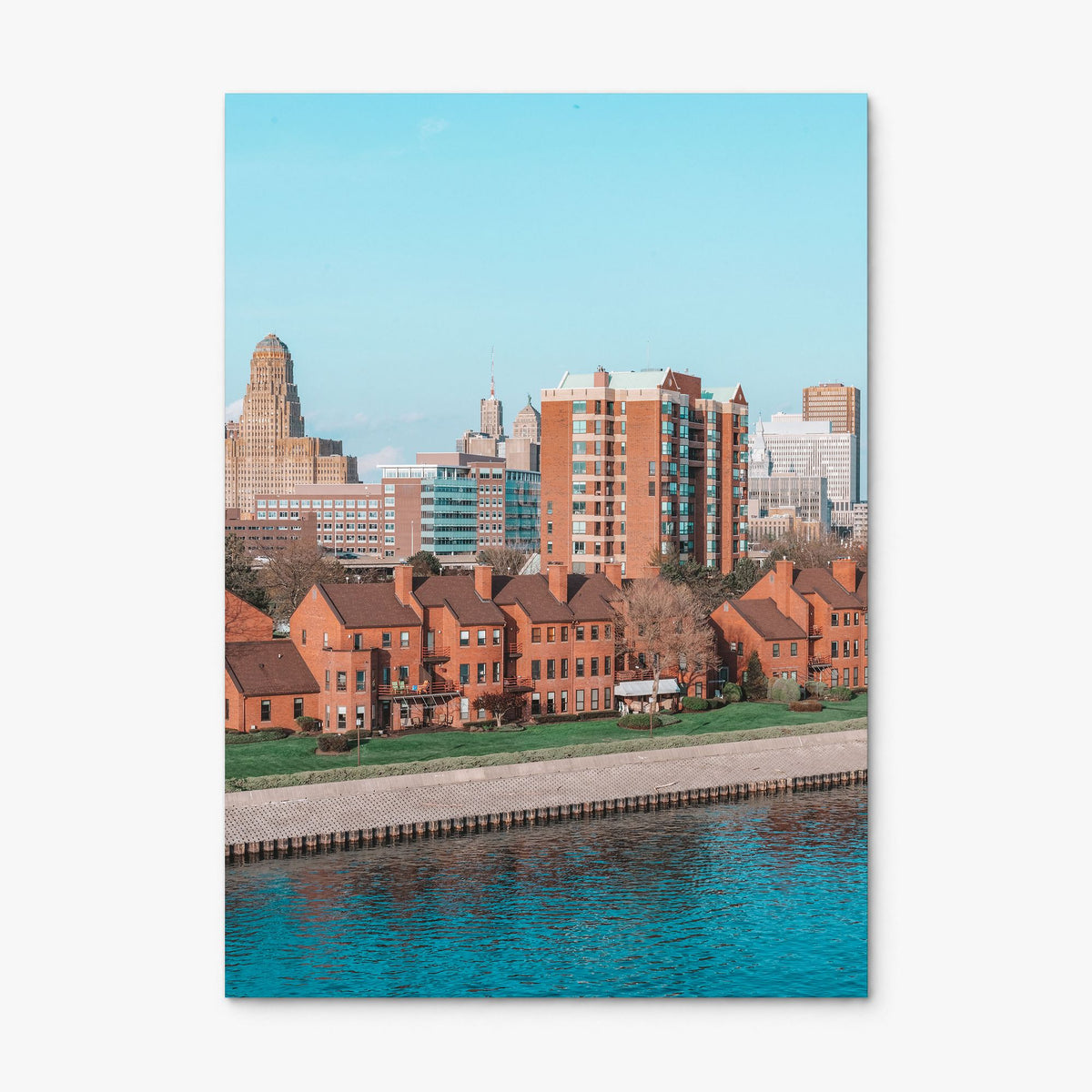 Buffalo Photo No 2 Poster, print only (unframed), full image (no border)