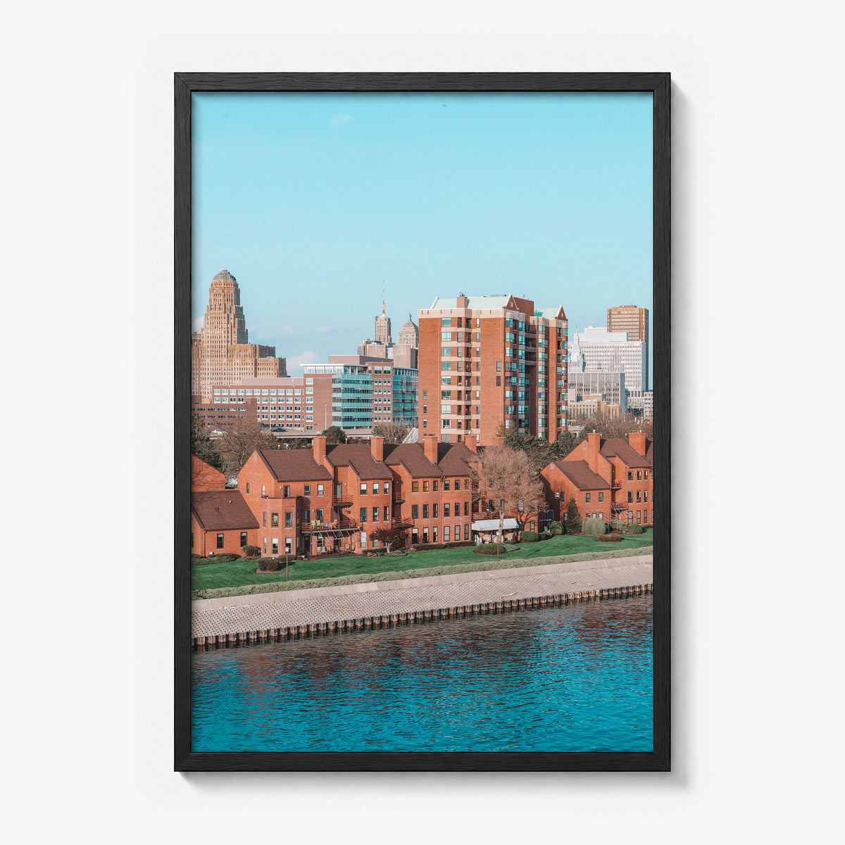 Buffalo Photo No 2 Poster in a black wood frame, full image (no border)