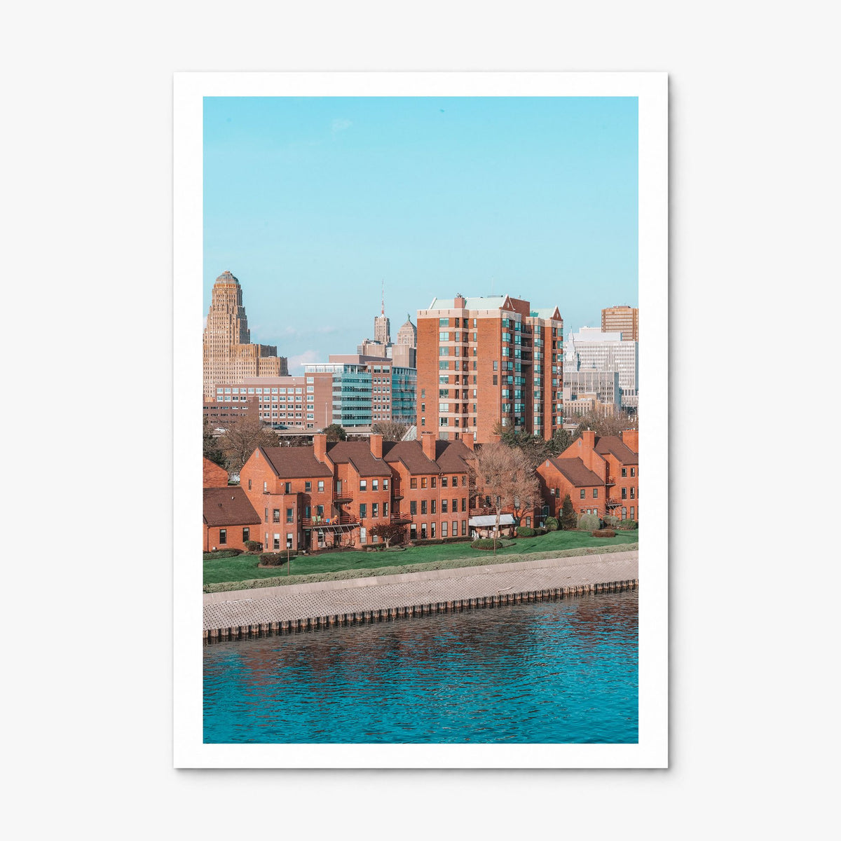 Buffalo Photo No 2 Poster, print only (unframed), white border