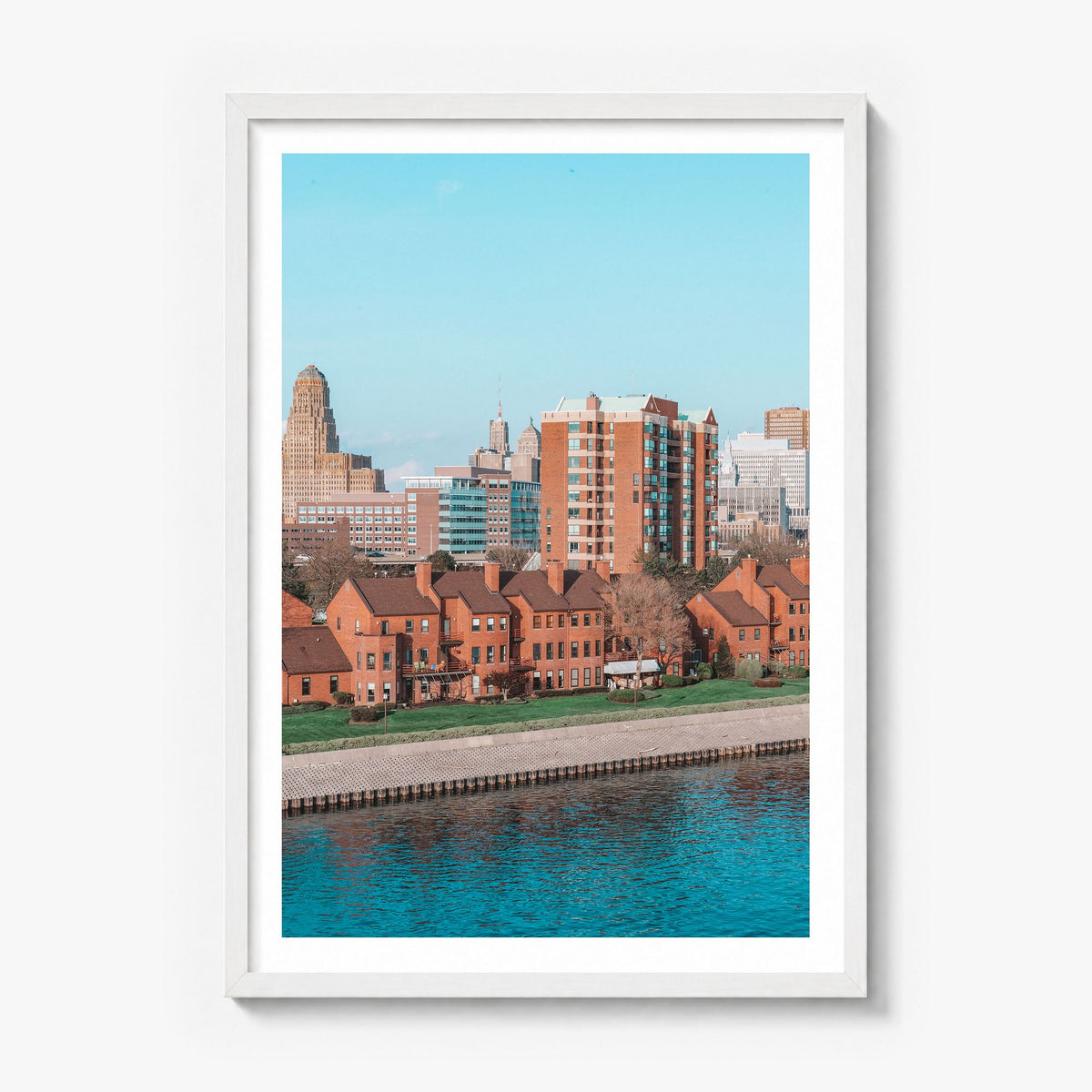 Buffalo Photo No 2 Poster in a white wood frame, white border