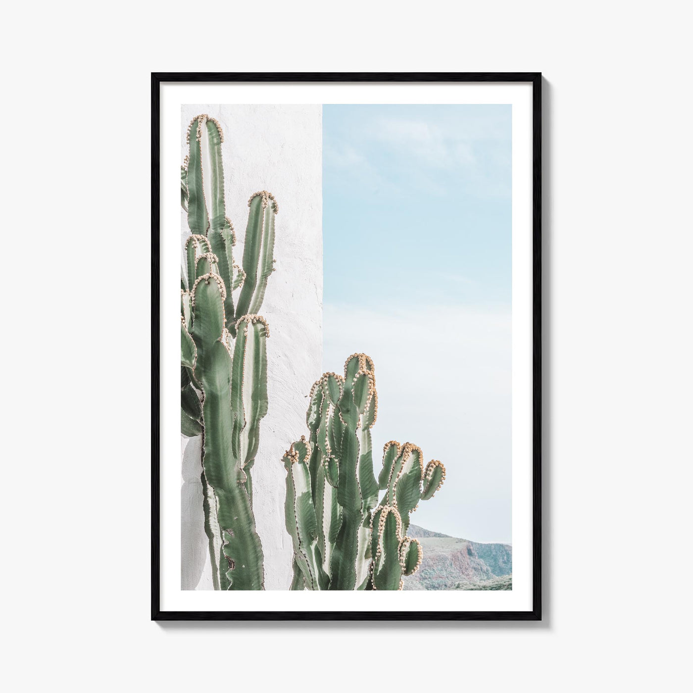 Cactus no. 1 colorful photo poster – vertical wall art, unframed print shown in interior mockup