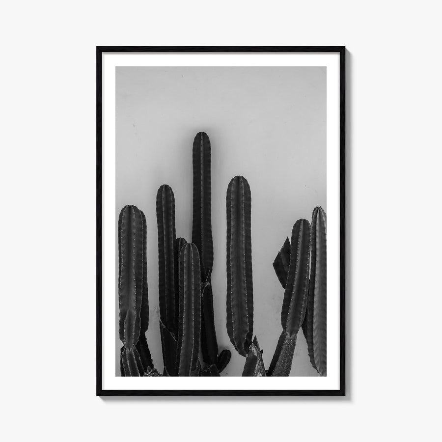 Cactus black & white photo poster – vertical wall art, unframed print shown in interior mockup