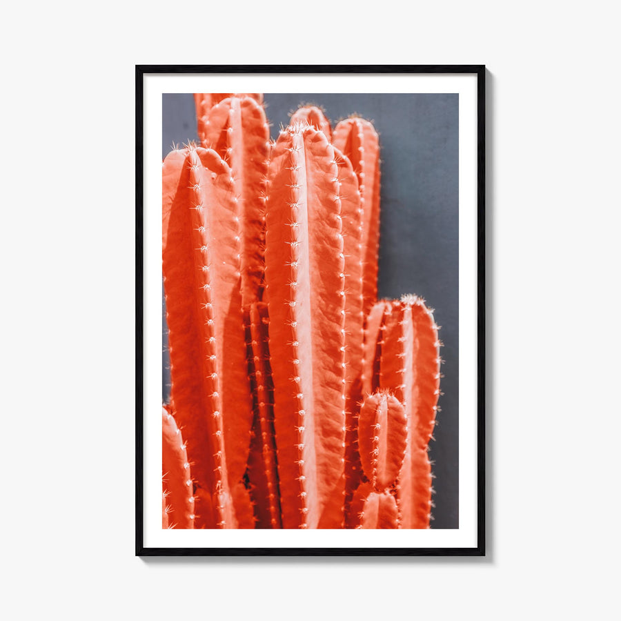 Cactus no. 6 colorful photo poster – vertical wall art, unframed print shown in interior mockup