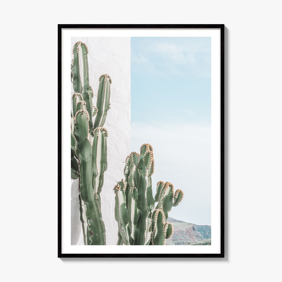Cactus Photo No 1 Poster, framed poster mockup, white border