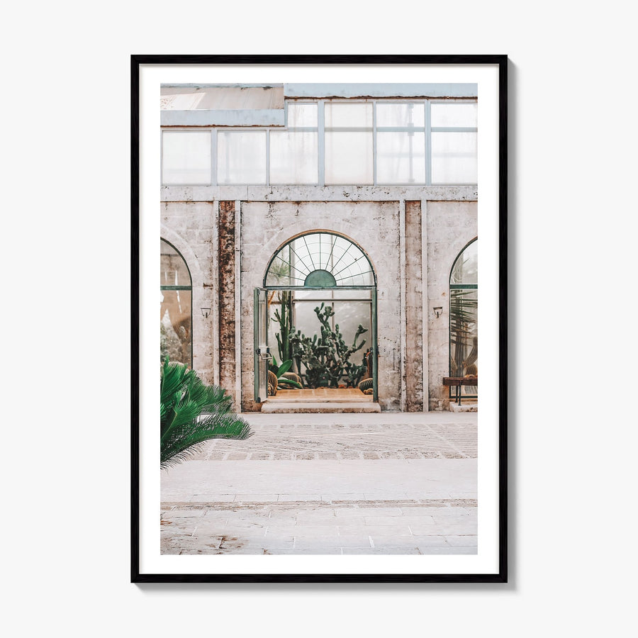 Cactus Photo No 4 Poster, framed poster mockup, white border