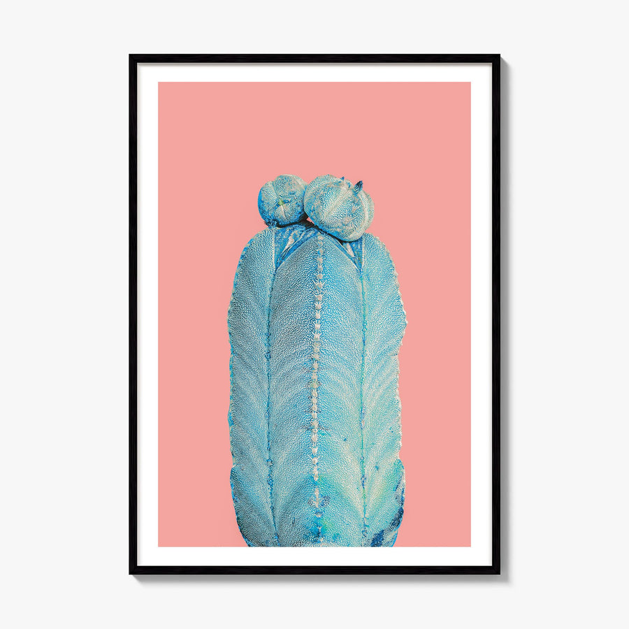 Cactus Photo No 5 Poster, framed poster mockup, white border