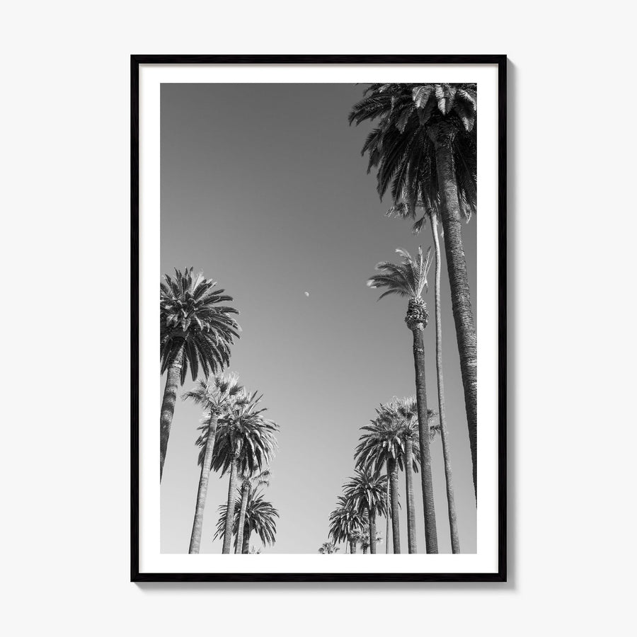 California Photo No 4 Poster, framed poster mockup, white border
