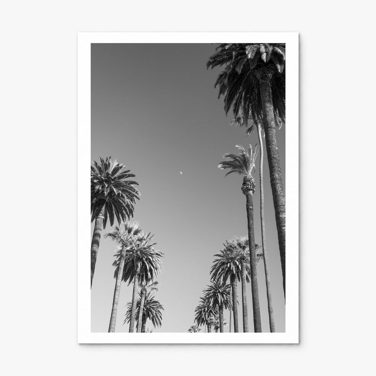 California Photo No 4 Poster, print only (unframed), white border