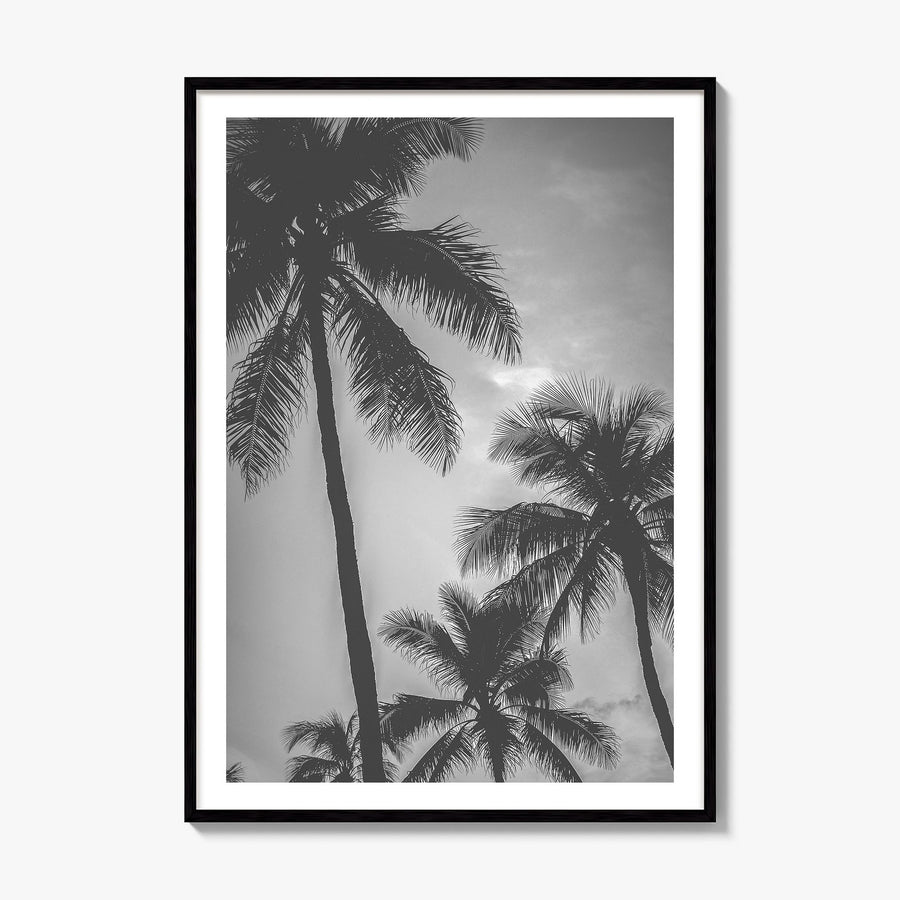California Photo No 5 Poster, framed poster mockup, white border