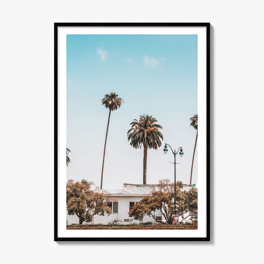 California Photo No 4 Poster, framed poster mockup, white border