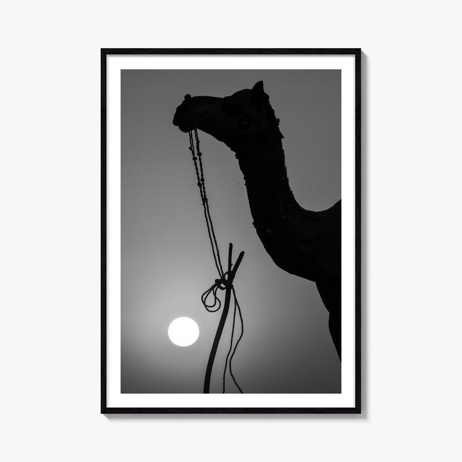Camel Caravan no. 1 black & white photo poster – vertical wall art, unframed print shown in interior mockup