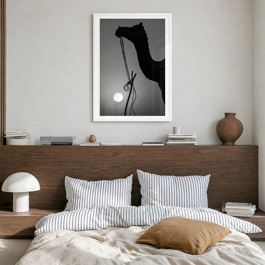 Camel Caravan Photo No 1 Poster in a white wood frame, hanging in a bedroom, white border
