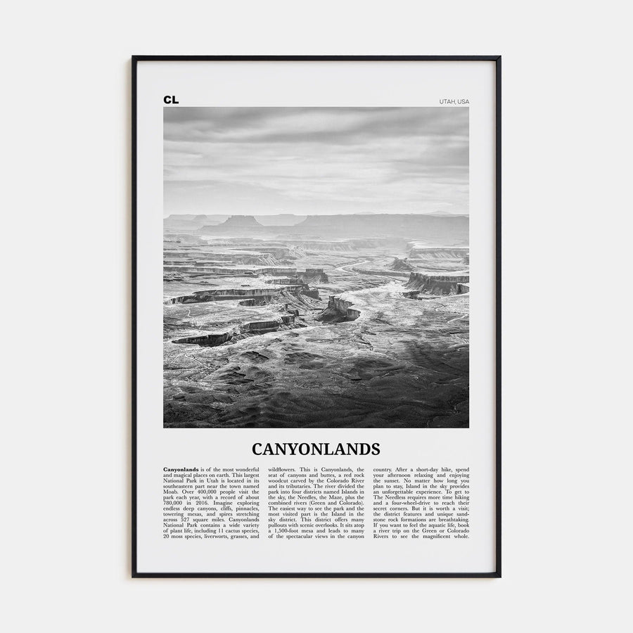 Canyonlands National Park Poster None / 8x12 in Nbourhood Travel B&W Poster