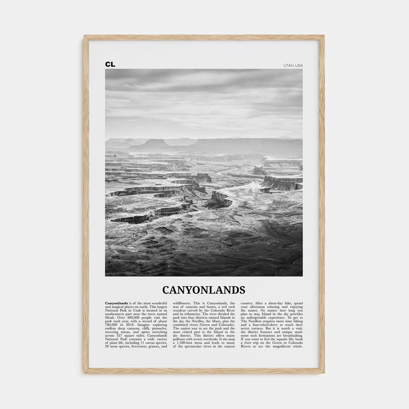 Canyonlands National Park Poster Natural Wood / 8x12 in Nbourhood Travel B&W Poster