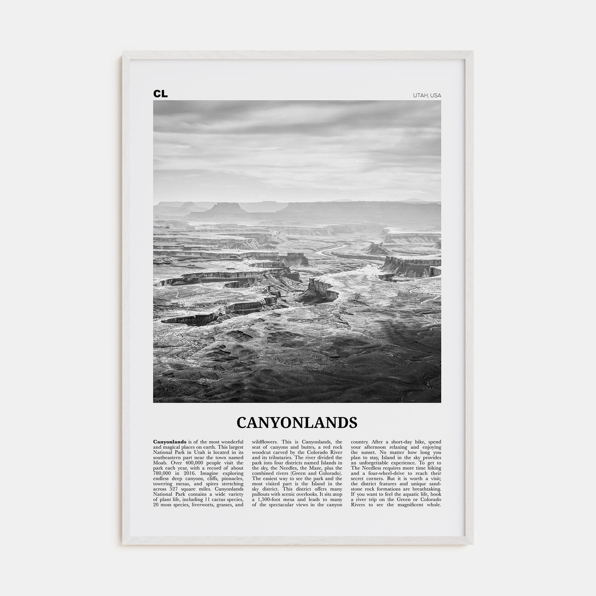 Canyonlands National Park Poster White Wood / 8x12 in Nbourhood Travel B&W Poster